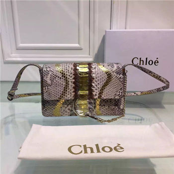 chloe chain bags 01