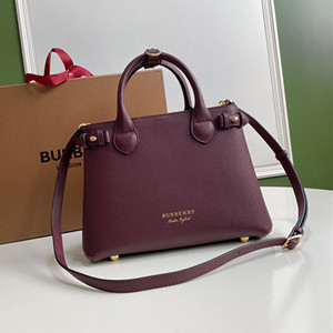 burberry 26cm the small banner in leather bag and house check