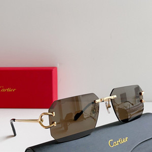 cartier sunglasses #ct0383s