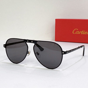 cartier sunglasses #ct0265/s