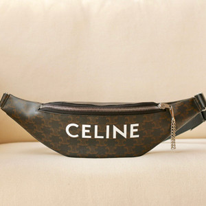 celine belt bag in triomphe canvas with celine print