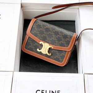celine teen triomphe bag in triomphe canvas and calfskin