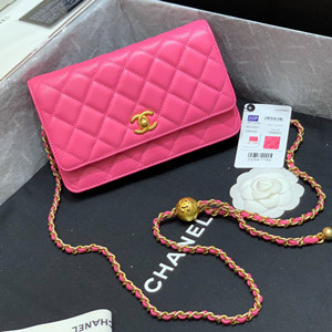 chanel wallet on chain bag #ap1450
