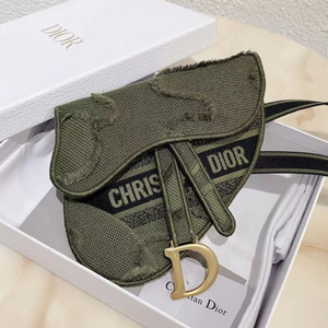 dior saddle camouflage pouch belt bag