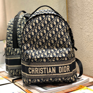 dior travel original dior oblique technical canvas backpack