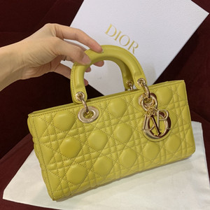 dior lady d-joy bag