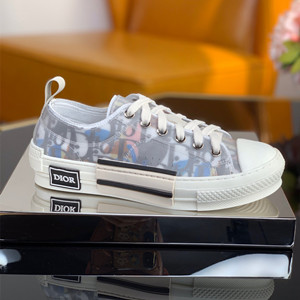 dior b23 low-top sneaker shoes
