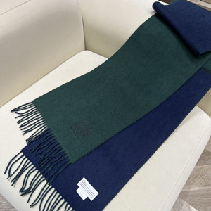 9A+ quality loewe scarf 30cm x 180cm