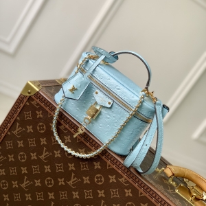 lv louis vuitton vanity bag #n85806/n85820/n85911