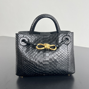 bottega veneta small andiamo bag #874957