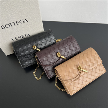 bottega veneta andiamo pouch on chain #844107