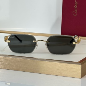 cartier sunglasses #ct0801s