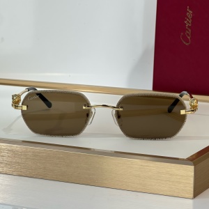 cartier sunglasses #ct0801s