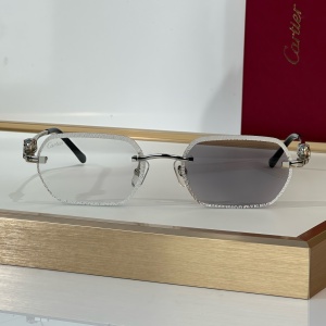 cartier sunglasses #ct0801s