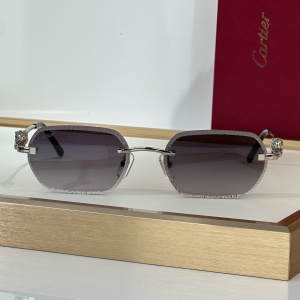 cartier sunglasses #ct0801s