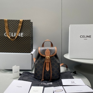 celine teen clara bag in triomphe canvas and calfskin