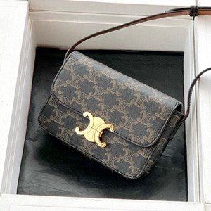 celine nano triomphe bag in triomphe canvas #697