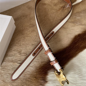 celine medium 2.5cm triomphe belt in triomphe canvas and calfskin