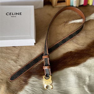 celine medium 2.5cm triomphe belt in triomphe canvas and calfskin