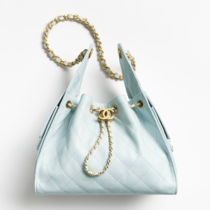 chanel 25bag hobo small bag