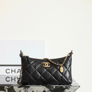 chanel 25s spring-summer coin chain hobo bag