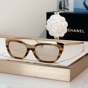 chanel sunglasses 55口17-140