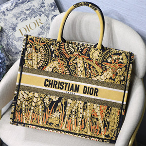 dior book tote bag