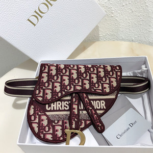 dior saddle dior bolique pouch belt bag