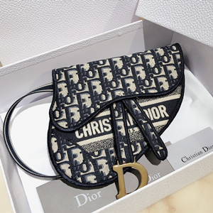 dior saddle dior bolique pouch belt bag