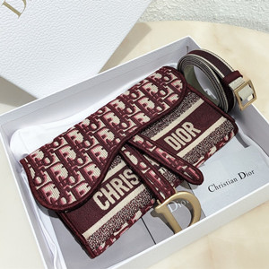 dior saddle dior oblique pochette bag