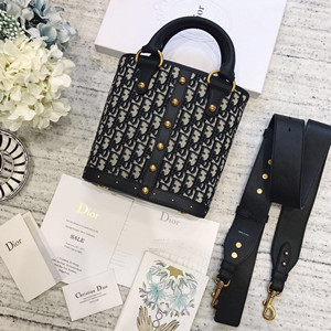 dior oblique canvas logo bag