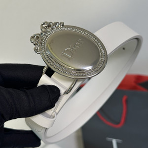 dior médaillon belt