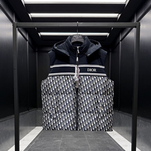 dior alps down vest
