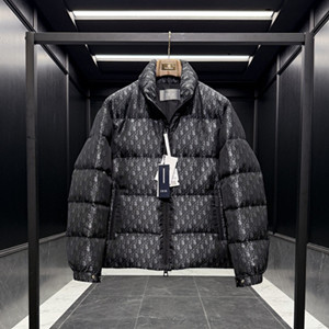 dior oblique alps down jacket