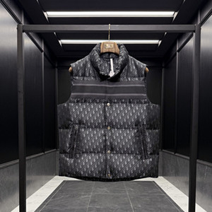 dior alps oblique down vest
