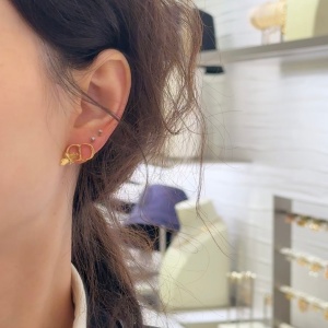 dior earrings