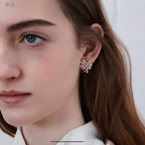 dior earrings