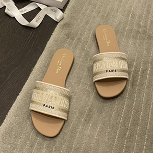 dior dway slide shoes