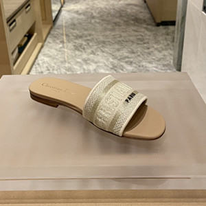 dior dway slide shoes