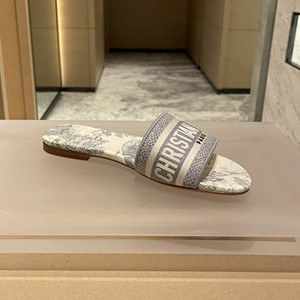 dior dway slide shoes