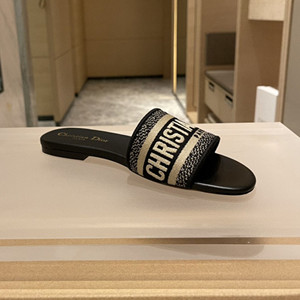 dior dway slide shoes
