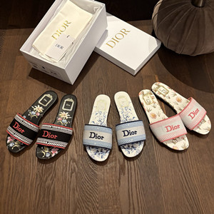 dior dway slide shoes