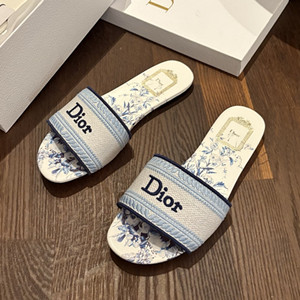 dior dway slide shoes