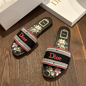 dior dway slide shoes