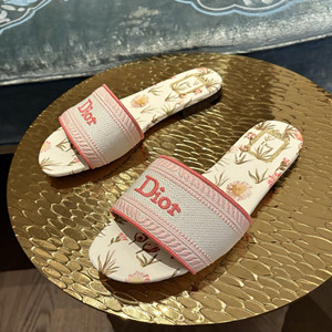 dior dway slide shoes