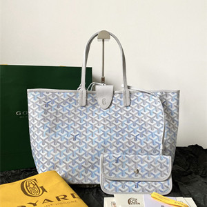 goyard saint louis pm bag multicolored
