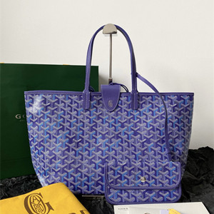 goyard saint louis pm bag multicolored