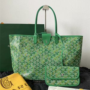 goyard saint louis pm bag multicolored
