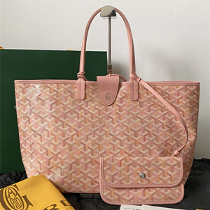 goyard saint louis pm bag multicolored
