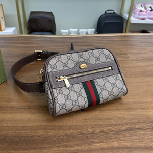 clear stock gucci ophidia small belt bag #517076